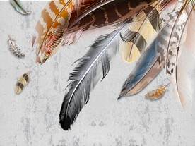 装饰画 晶瓷画 羽毛