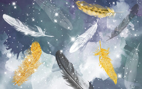 装饰画 晶瓷画 羽毛