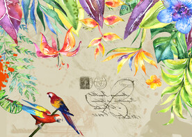 鹦鹉 森林 热带 植物 芭蕉 