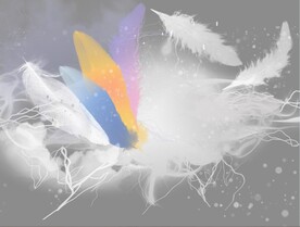 装饰画 晶瓷画 羽毛