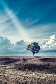 装饰画 自然风景