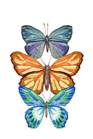 装饰画 抽象画 蝴蝶