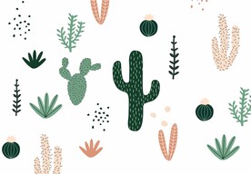 仙人掌壁纸背景 绿植