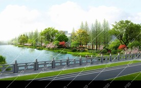 河道绿化设计