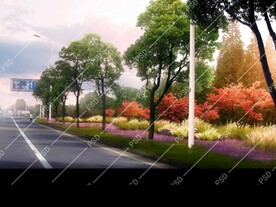 秋季花海芒草绿化设计