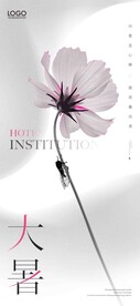 大暑海报