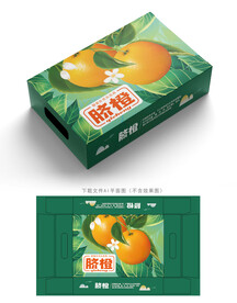 脐橙包装 