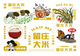 大米海报插画