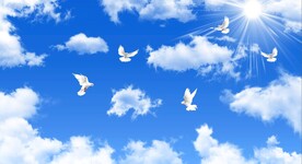蓝天白云鸽子