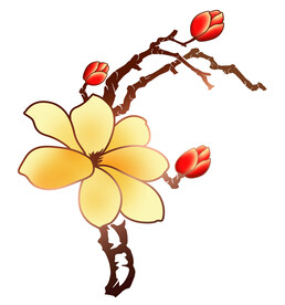 高清分层手绘玉兰花一朵