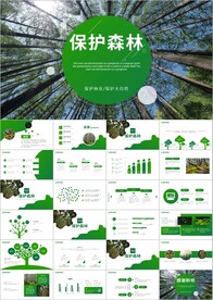 唯美湿地森林保护原始森林PPT