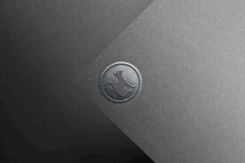 品牌logo纸质烫金银样机