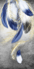 装饰画 晶瓷画 羽毛