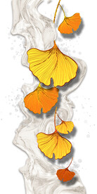 装饰画 晶瓷画 杏叶