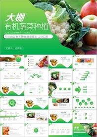 大棚蔬菜种植基地有机蔬菜ppt