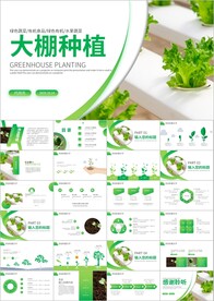 有机蔬菜种植大棚种植ppt