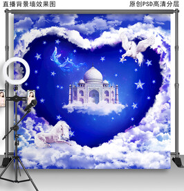 网红直播背景布