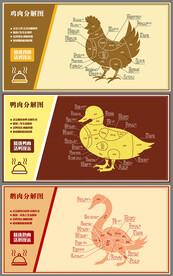 鸡鸭鹅肉分解图