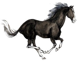水彩马手绘马