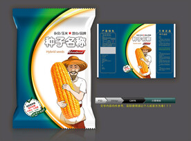玉米种子(展开图)