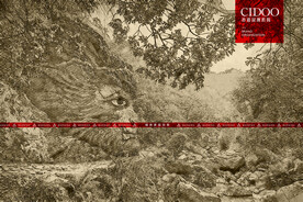 南海湾森林生态园