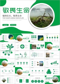 植物发芽植物生长敬畏生命PPT