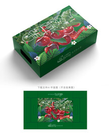 樱桃包装
