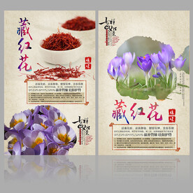 藏红花海报 