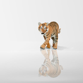 虎年2022生肖绘画新年老虎