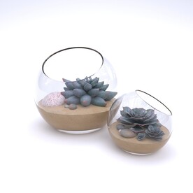 多肉玻璃盆栽
