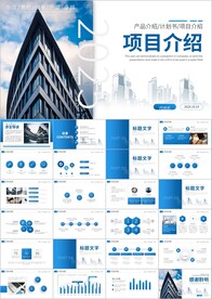 项目介绍工作总结汇报ppt