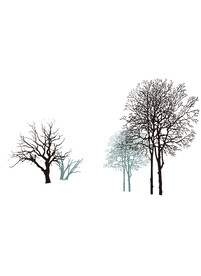 高清分层透明底浴室门写真图