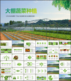大棚蔬菜种植基地有机蔬菜ppt
