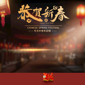 新年年货节国货主图直通车