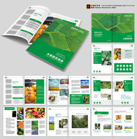 农产品宣传画册