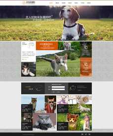 宠物摄影公司网站模板
