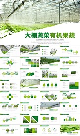 大棚蔬菜种植基地有机蔬菜ppt
