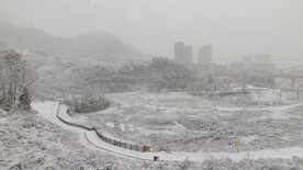 北郊湖雪景