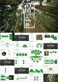 湿地环境保护生态森林业PPT