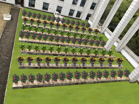 绿植租摆设计效果图