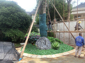 花坛改造设计效果图