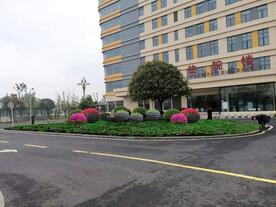 绿化改造设计效果图