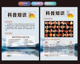 鼻炎科普知识宣传传单设计