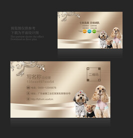 宠物名片