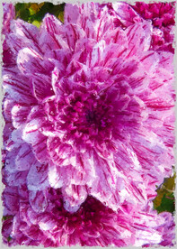 50X70厘数字油画装饰画素材