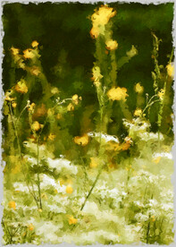 50X70厘数字油画装饰画素材