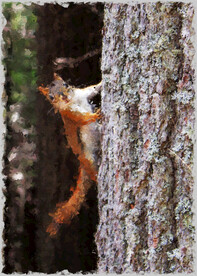 50X70厘数字油画装饰画素材