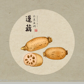 手绘植物食材