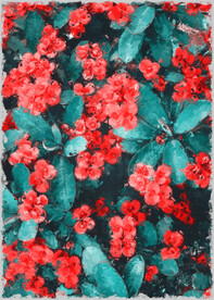  50X70厘数字油画装饰画素