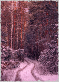 50X70厘数字油画装饰画素材